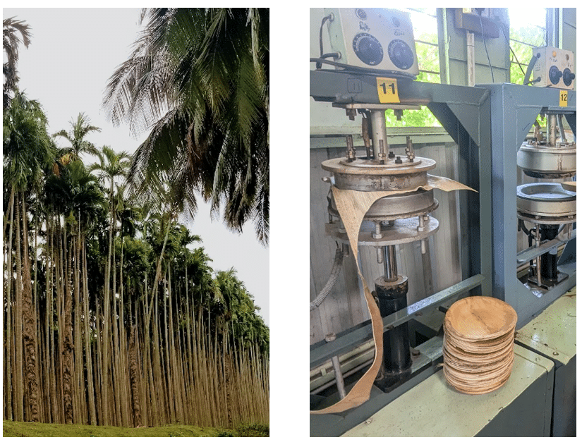 Areca palm leaf plates supplier in madurai | Janar Bio - Welcome 9 About image2