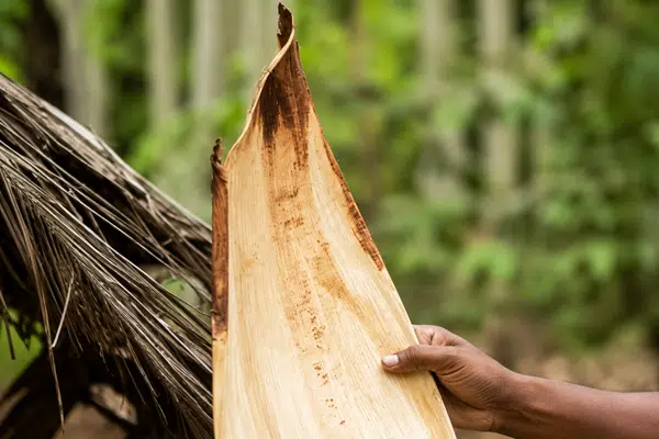 Who is the best areca plate manufacturer in madurai ?